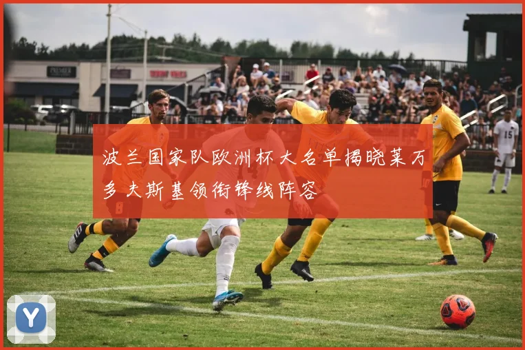 波兰国家队欧洲杯大名单揭晓莱万多夫斯基领衔锋线阵容