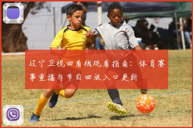 辽宁卫视回看线观看指南：体育赛事重播与节目回放入口更新