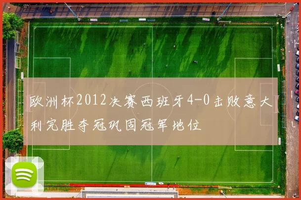 欧洲杯2012决赛西班牙4-0击败意大利完胜夺冠巩固冠军地位