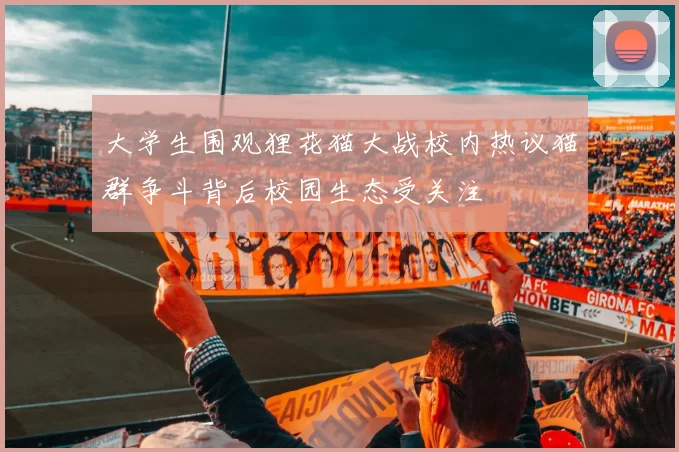 大学生围观狸花猫大战校内热议猫群争斗背后校园生态受关注