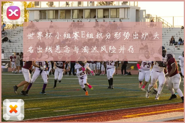世界杯小组赛E组积分形势出炉 头名出线悬念与淘汰风险并存